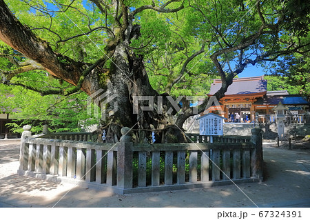 大 山祇 命 茶道具 掛軸 大徳寺 小林太玄 共箱 ヴィンテージ 出羽三山