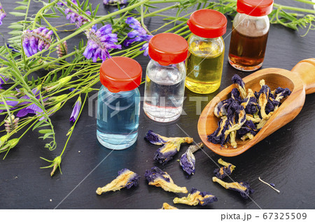 Use of wild plants in alternative medicine and Use of wild plants in alternative medicine and 67325509