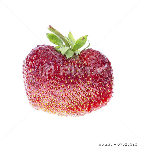 One big red ripe sliced strawberry isolated on 67325523