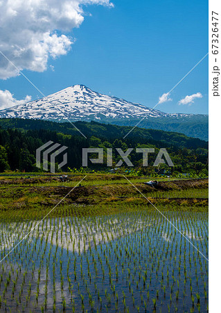 由利本荘市 田んぼから見る鳥海山 由利本荘市 田んぼから見る鳥海山 67326477