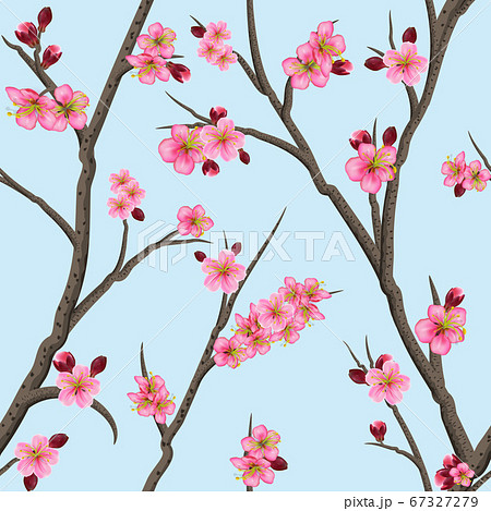 Cherry or sakura seamless pattern background, 67327279