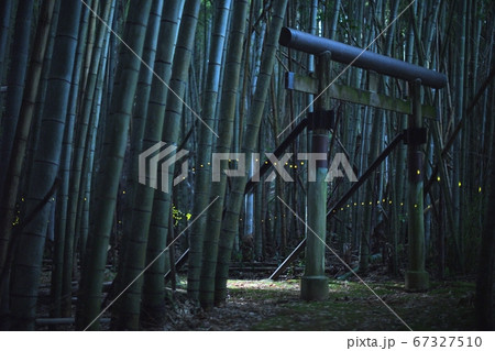 鳥居と姫蛍 鳥居と姫蛍 67327510
