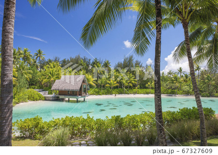 タヒチ ボラボラ ラグーン 67327609
