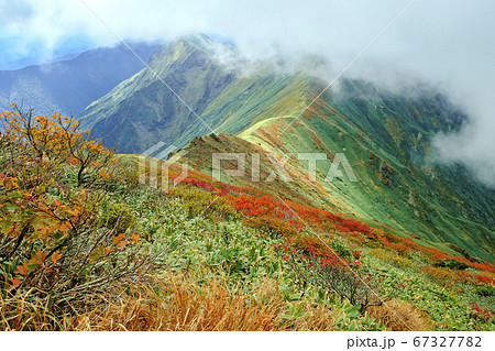 秋の谷川岳稜線 67327782