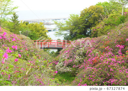 淡輪遊園 67327874