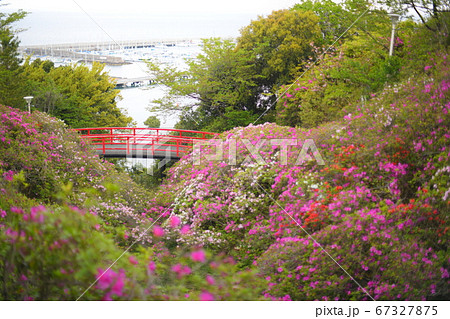 淡輪遊園の写真素材