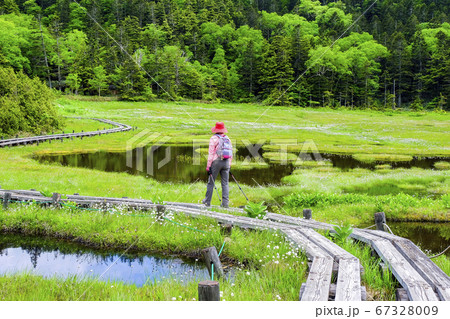 四十八池湿原とハイカー 67328009