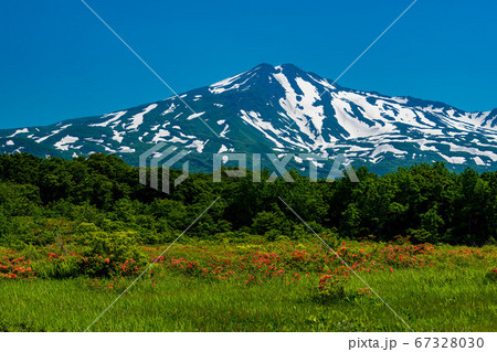 秋田県 桑ノ木台湿原と鳥海山 草原横 67328030