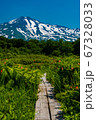 秋田県 桑ノ木台湿原と鳥海山 木道縦 67328033