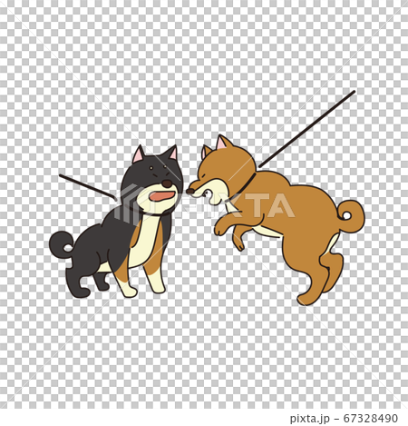 Two Shiba Inu Fighting Stock Illustration