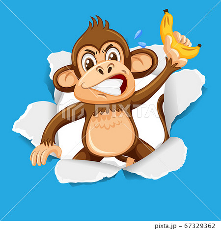 Background template design with wild monkey on 67329362