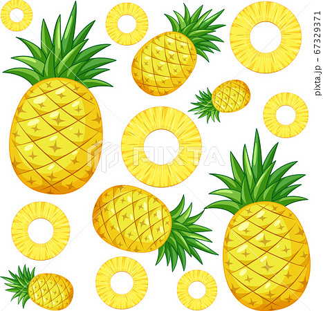 Pineapple seamless pattern on white background 67329371