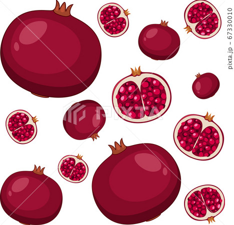 Pomegranate seamless pattern on white background 67330010