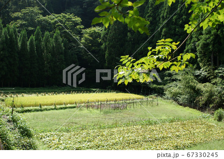 鳥取 四季の散歩 板井原集落 鳥取 四季の散歩 板井原集落 67330245