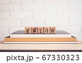 The word GUIDE and blank space background, 67330323