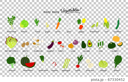 いろんな野菜のカラーイラストアイコン 白背景 のイラスト素材