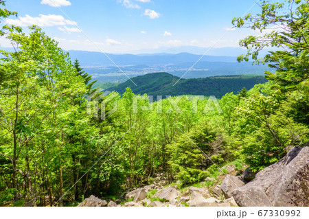 初夏の蓼科山登山：女乃神茶屋（蓼科山登山口）コースの風景 67330992