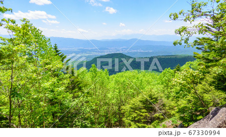 初夏の蓼科山登山：女乃神茶屋（蓼科山登山口）コースの風景 67330994