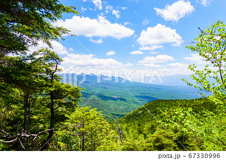 初夏の蓼科山登山:女乃神茶屋(蓼科山登山口)コースの風景 初夏の蓼科山登山:女乃神茶屋(蓼科山登山口)コースの風景 67330996