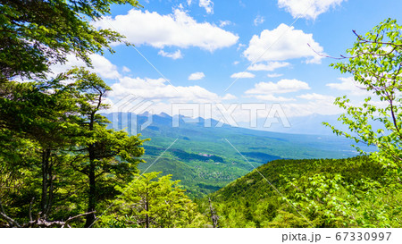 初夏の蓼科山登山：女乃神茶屋（蓼科山登山口）コースの風景 67330997