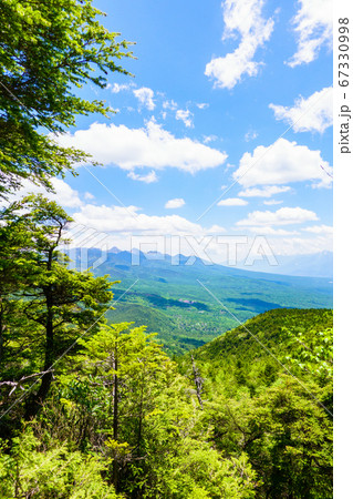 初夏の蓼科山登山：女乃神茶屋（蓼科山登山口）コースの風景 67330998