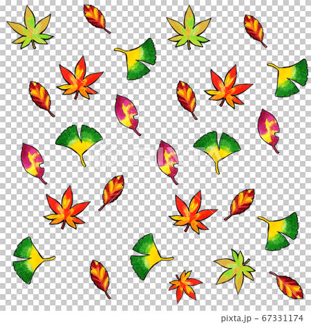 秋のもみじのpopイラスト 水彩のイラスト素材