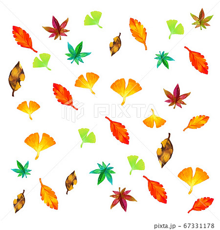 秋のもみじの鮮やか水彩イラストのイラスト素材