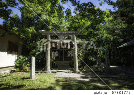 京都御苑にある宗像神社の境内社、京都観光神社と新緑の風景 京都御苑にある宗像神社の境内社、京都観光神社と新緑の風景 67331775