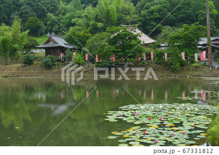 秩父二十五番札所久昌寺の睡蓮池 67331812