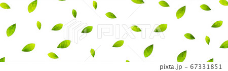 Grunge summer eco banner with green leaves 67331851