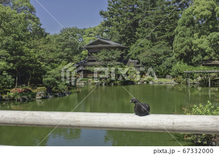 京都御苑内にある旧九条家庭園「拾翠亭」の美しい初夏の風景です 67332000