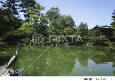 京都御苑内にある旧九条家庭園「拾翠亭」と九条池に憩うアオサギがいる風景 京都御苑内にある旧九条家庭園「拾翠亭」と九条池に憩うアオサギがいる風景 67332111