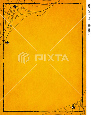 不気味な蜘蛛の巣のフレーム 67332180