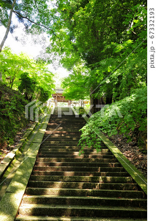 南朝勅願寺　如意輪寺参道と山門 67332193