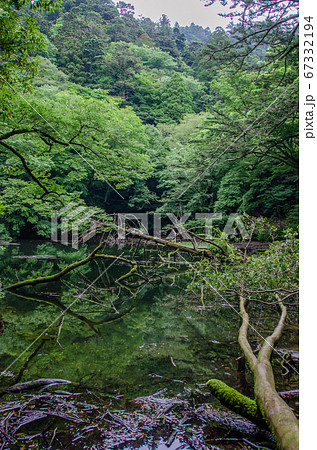 シラヌタの池 67332194