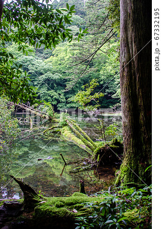 シラヌタの池 シラヌタの池 67332195