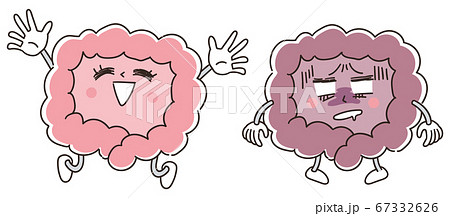 腸の健康 キャラクターのイラストのイラスト素材