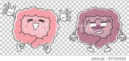 腸道健康特徵的插圖 67332626