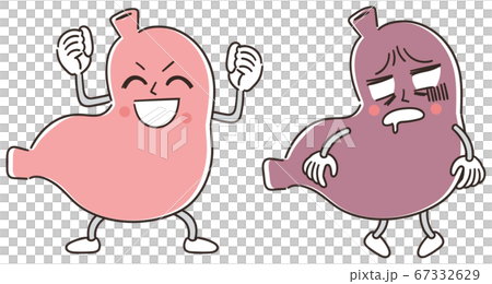 胃の健康 キャラクターのイラスト 67332629