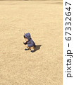 公園でしゃがんでいる小さな男の子 67332647
