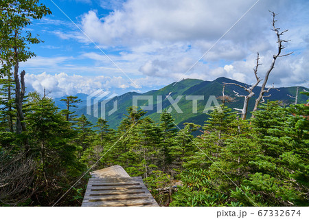 山梨(長野)の前国師岳付近の木道階段から西側の金峰山、朝日岳、鉄山方面を見る 67332674