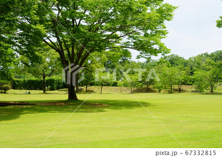 緑の公園-1 緑の公園-1 67332815