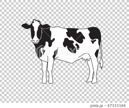 乳牛のイラストのイラスト素材