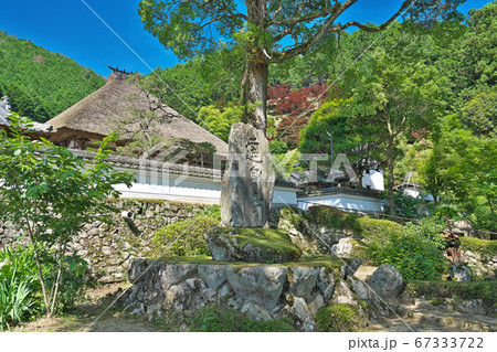 【達身寺】 兵庫県丹波市氷上町清住 67333722
