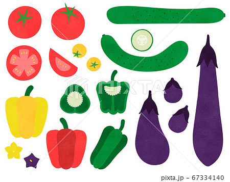 手描き風 夏野菜のイラストセットのイラスト素材