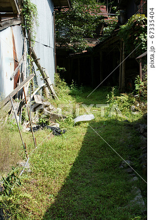 鳥取　四季の散歩　板井原集落 67335404