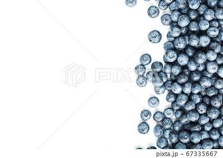 Blueberries are scattered on a white background. 67335667
