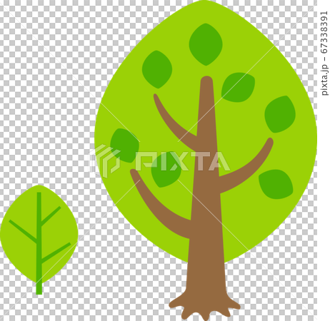 Simple tree and leaves 67338391