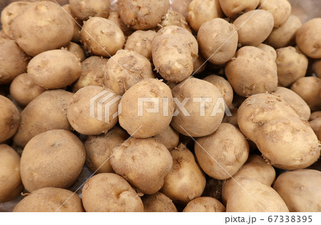 ジャガイモ 野菜 実 67338395