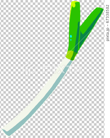 Green onion Green onion 67338582